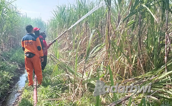 MENYEMPROT API: Anggota Pemadam Kebakaran (DAMKAR) Cabang Asembagus, melakukan penyiraman di lahan tebu milik Basri, warga Dusun Timur, Desa Awar-awar, Kecamatan Asembagus, Minggu (31/7). (Humaidi/Radar Situbondo)