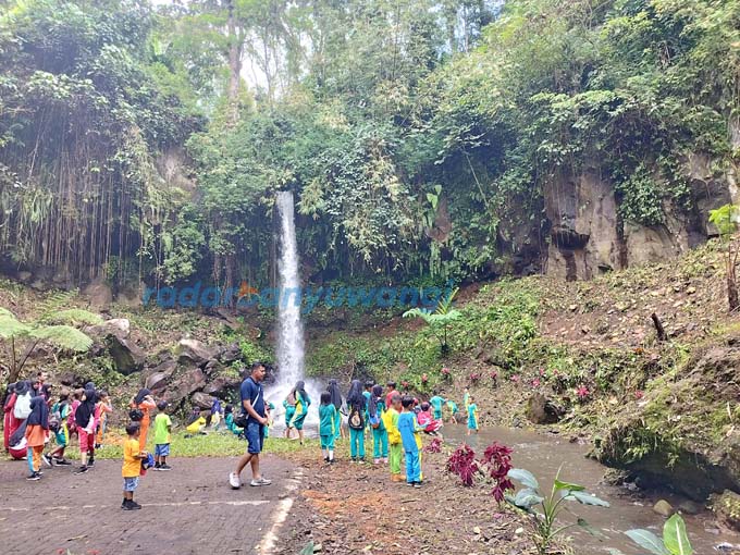 WISATA ALAM: Air terjun RJR dengan ketinggian tujuh meter ini berlokasi di area Perkebunan Bumisari. Wisatawan bisa menikmati destinasi wisata baru tersebut. (Bagus Rio/RadarBanyuwangi.id)