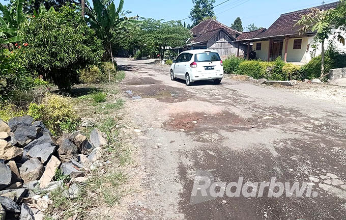 RUSAK: Jalan di Dusun Curahjati, Desa Grajagan, Kecamatan Purwoharjo yang sudah tujuh tahun lebih penuh lubang, Kamis (4/8). (Hariyanto for Radar Genteng)