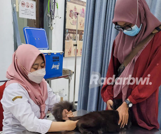 VAKSINASI: drh Hamid menyuntikkan vaksin rabies kepada anjing peliharaan milik warga Desa Patoman, Kecamatan Blimbingsari, Rabu (28/9). (Ramada Kusuma/Radar Banyuwangi)