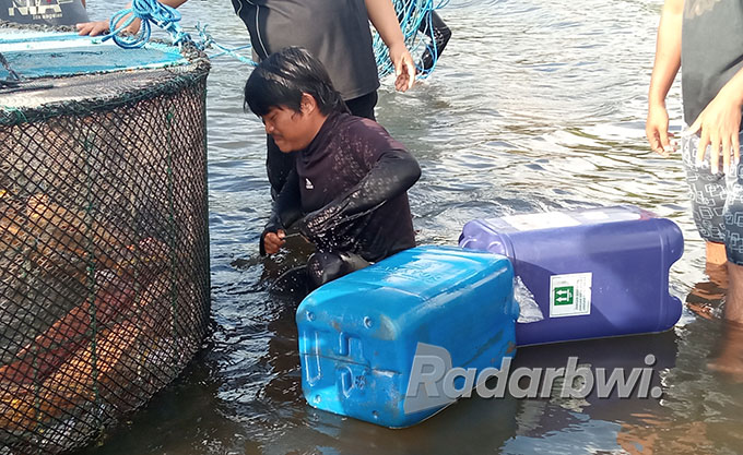 SIGAP: Penyelam Aditya Dwi Nugroho mengikat pelampung keramba lobster di Pantai Cacalan, Banyuwangi, Selasa (13/9). (Lugas Rumpakaadi/Radar Banyuwangi)