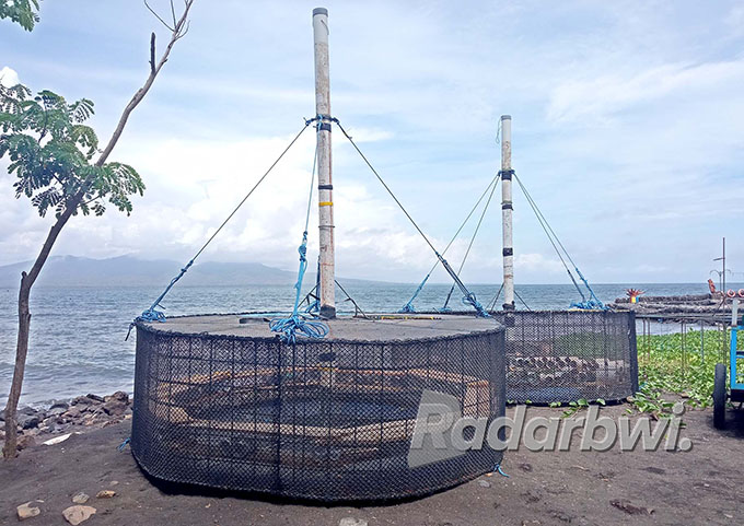 SIAP DIGUNAKAN: Keramba lobster yang berada di dekat halaman parkir Pantai Cacalan, Minggu (11/9). (Lugas/Radar Banyuwangi)