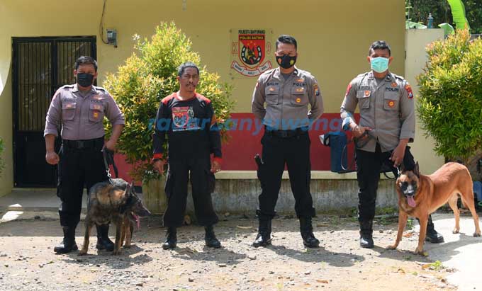 IMPOR: Kim dan Ciro dikeluarkan dari kandang mereka di Polresta Banyuwangi. Instruksi untuk mereka menggunakan bahasa Inggris. (Ramada Kusuma/RadarBanyuwangi.id)