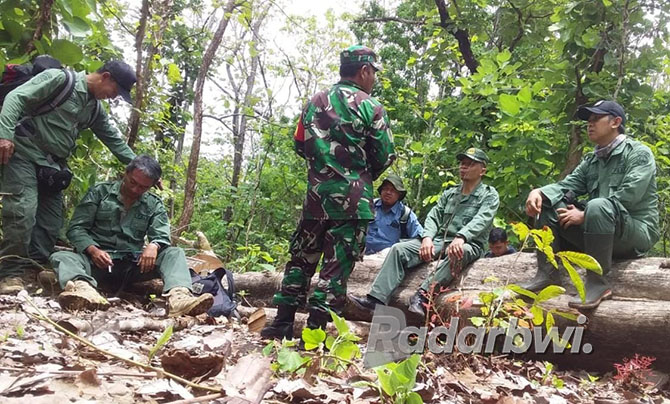 SISA PEMBALAKAN: Petugas&nbsp; gabungan mengamankan kayu yang diduga hasil pembalakan di kawasan hutan Taman Nasional Baluran, Desa Sumberwaru, Kecamatan Banyuputih, Rabu (26/10). (Humaidi/Radar Situbondo)