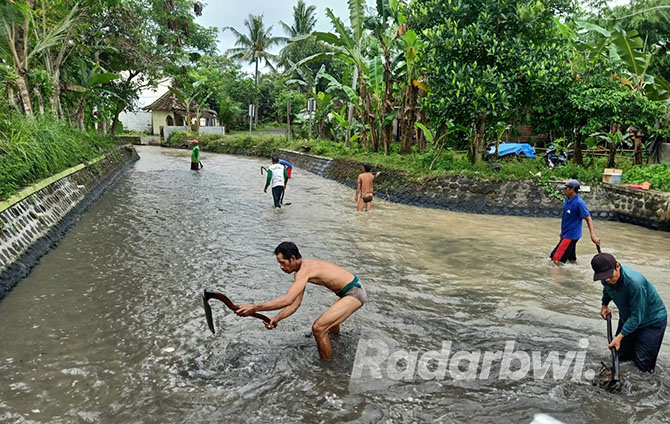 MANUAL: Petani membersihkan sedimen menggunakan cangkul di saluran Gotan, Desa Labanasem, Kecamatan Kabat, Selasa (18/10). (Dedy Jumhardiyanto/Radar Banyuwangi)