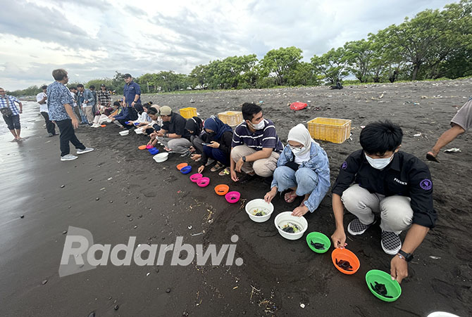 DOMINASI JANTAN : Perwakilan mahasiswa Unair bersama BPSPL Denpasar dan BBKSDA Jatim Wilayah Banyuwangi melepasliarkan 50 ekor tukik di Pantai Pulau Santen, Jumat (21/10). (Fredy Rizki/Radar Banyuwangi)