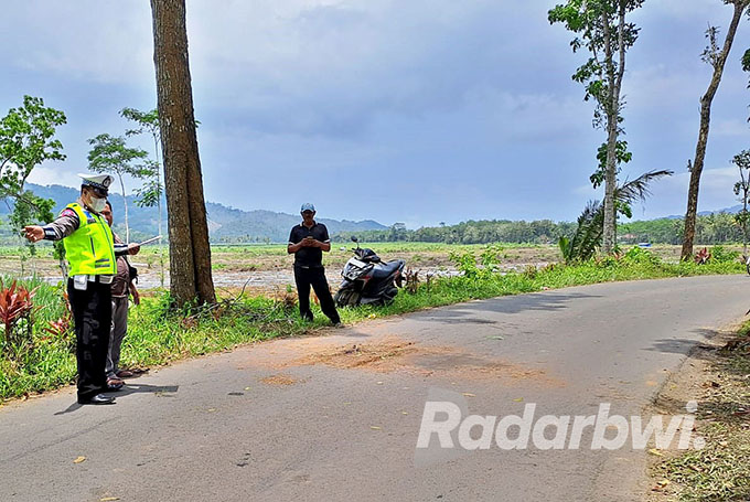 DI TENGAH KEBUN: Anggota Unit Lantas Polsek Gambiran olah TKP di jalan raya Kebun Sungai Lembu, PTPN XII, Dusun Rejoagung, Desa Sumberagung, Kecamatan Pesanggaran, Jumat (30/9). (Polsek Gambiran for Radar Genteng)