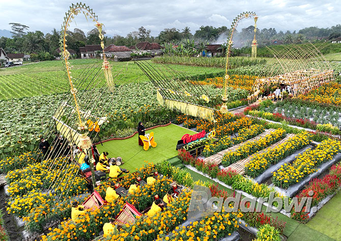 POTENSI EKONOMI LOKAL: Flower Festival menjadi destinasi wisata lokal yang mampu menyerap tenaga kerja dengan omzet selama penyelenggaraan sebesar Rp 444.954.000. (RAMADA KUSUMA/RABA)
