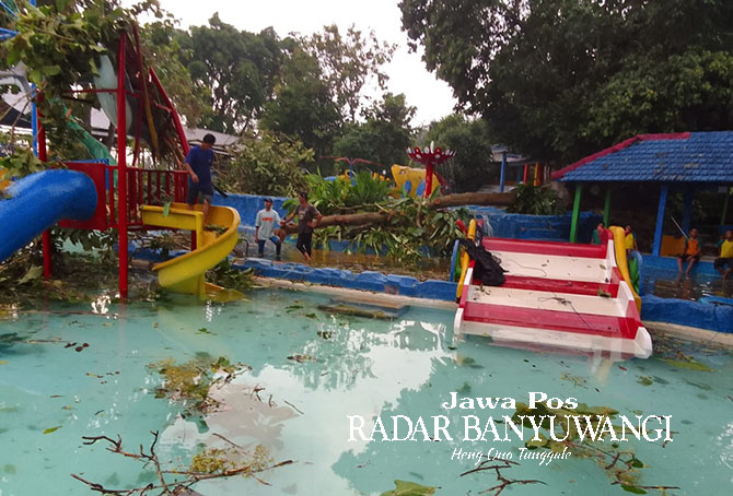 PORAK-PORANDA: Pohon di dekat kolam renang Pancoran, Dusun Karanganyar, Desa Karangbendo, Rogojampi, Banyuwangi, tumbang setelah dihajar puting beliung, Kamis sore (29/12).  (DEDY JUMHARDIYANTO/RABA)