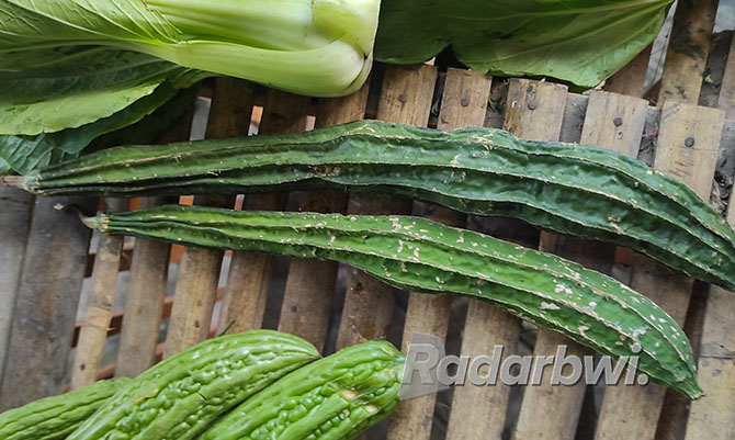LONJONG: Sayur gambas memiliki penggemar khusus, terutama lantaran kaya kandungan air dan rasanya yang menyegarkan. (RAMADA KUSUMA/RABA)