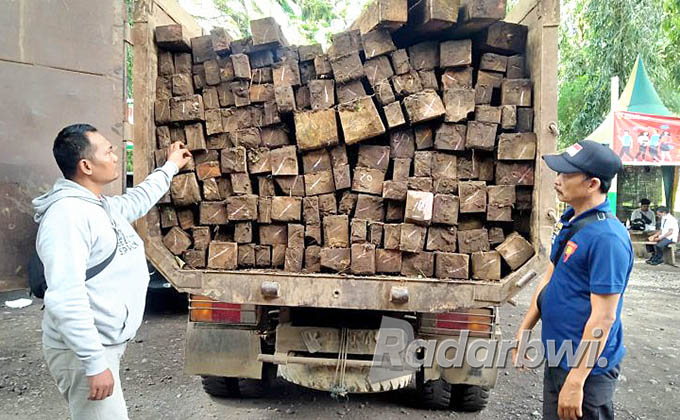 Ilustrasi truk pengangkut kayu curian. (Dok.Radar Banyuwangi)