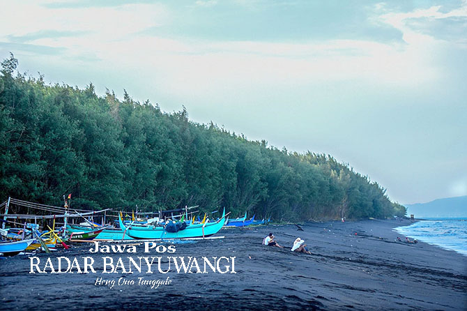 WISATA PANTAI: Pengunjung bisa menikmati indahnya pohon cemara di pinggir pantai yang berlokasi di Kelurahan Pakis tersebut.   (RAMADA KUSUMA/RABA)