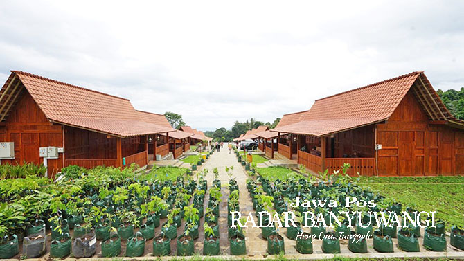TERPADU KAWASAN PERTANIAN: Revitalisasi Agro Wisata Tamansuruh (AWT) mengusung konsep Desa Oseng. AWT akan dilengkapi perpustakaan digital dan ruang aktivitas Smart Kampung. (DINI UNTUK RABA)