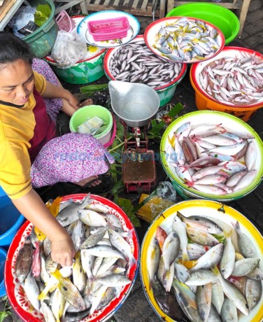 CEGAH STUNTING: Pedagang menjajakan aneka jenis ikan segar di Pasar Blambangan. Bagi ibu hamil, memperbanyak konsumsi ikan ternyata bisa mencegah stunting. (Ramada Kusuma/RadarBanyuwangi.id)