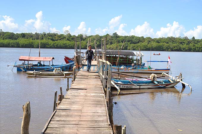 SEPI: Salah satu pengunjung menikmati keindahan Ekowisata Mangrove Bedul di Desa Sumberasri, Kecamatan Purwoharjo, kemarin (6/1). (Agus Baihaqi/RadarBanyuwangi.id)