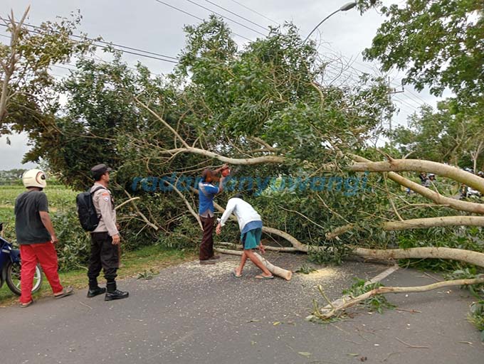 (RadarBanyuwangi.id)