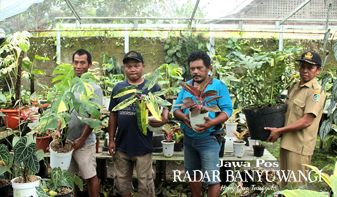 KOMUNITAS: Perwakilan KPTHPS dengan tanaman hias berharga mahal di taman milik warga Dusun Tugung, Desa Sempu, Selasa (6/2). (Salis Ali/Radar Genteng)