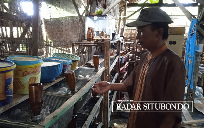 MEMBERI MAKAN: Ahmad Jawang, 56, warga Dusun Patek, Desa Wonokoyo, Kecamatan Kapongan,  memberi makan ternak tikus miliknya. (Humaidi/Radar Situbondo)