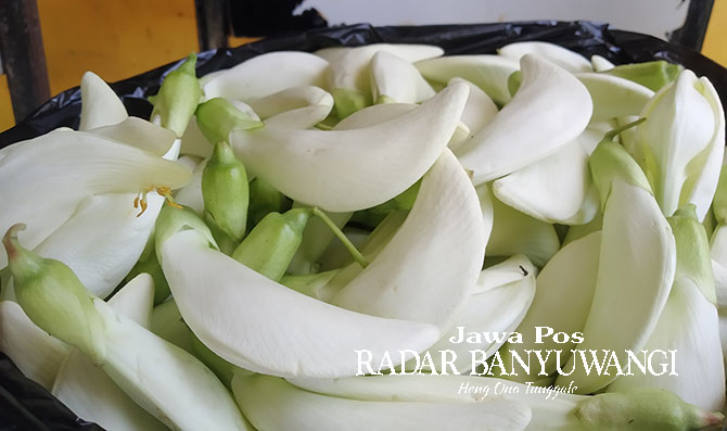 PROSES MUDAH: Bunga turi ditampung di dalam panci sebelum dimasak. (Gareta Wardani/Radar Banyuwangi)