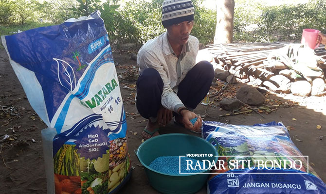KELUHKAN PUPUK: Warga Dusun Merak, Desa Sumberwaru, Kecamatan Banyuputih, menunjukkan pupuk yang diduga palsu, Senin (20/3). (Humaidi/Radar Situbondo)