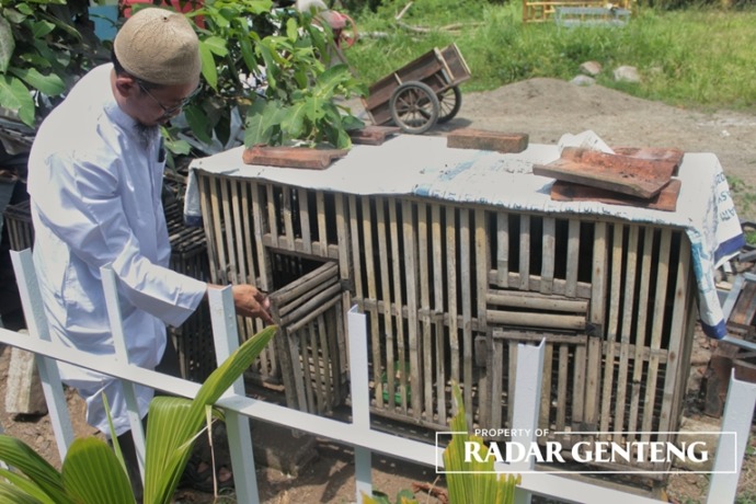 MELOMPONG: Pimpinan Pondok Pesantren Imam Asy Syafii Genteng Muhammad Yahya dengan kandang burung puter yang dicuri maling, Minggu (19/3). (Foto: Salis Ali/JPRG)