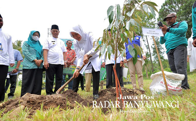 TANAMAN KERAS: Bupati Ipuk menanam pohon durian di Kecamatan Songgon, Banyuwangi, Jumat lalu (14/4). (Zulfan untuk Radar Banyuwangi)