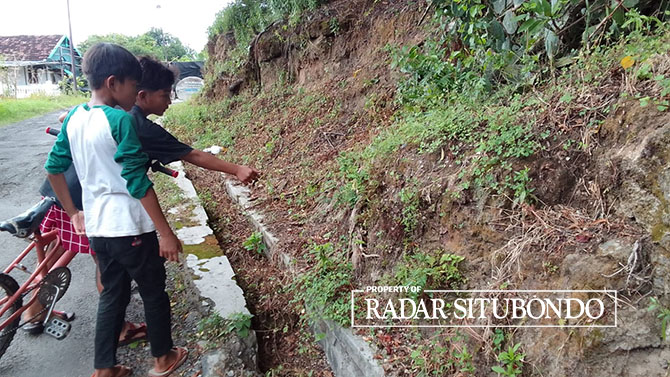 DIMAKAN ULAT: Dua anak kecil melintas di dekat kebun pohon keleke (jarak) di Perum Ayuban, Kelurahan Mimbaan, Kecamatan Panji, Minggu (2/3). (Humaidi/Radar Situbondo)