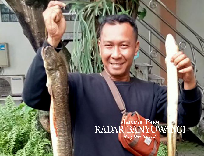 MAHAL: Toni memamerkan ikan sidat hasil memancing di Desa Alasmalang, Kecamatan Singojuruh, Banyuwangi.  (Dok.Toni untuk Radar Banyuwangi)