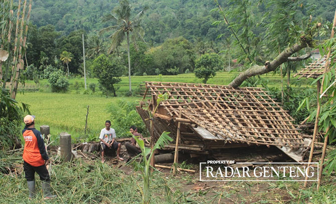 HANCUR: Kandang ternak milik Mad Sholeh di Dusun Tegalgondo, Desa Kajarharjo, Kecamatan Kalibaru ambruk disapu angin, Rabu (5/4) sore. (Salis Ali/Radar Genteng)