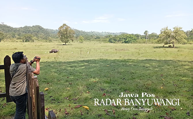 SADENGAN: Lokasi favorit melihat hewan lindung di Taman Nasional Alas Purwo Banyuwangi.
