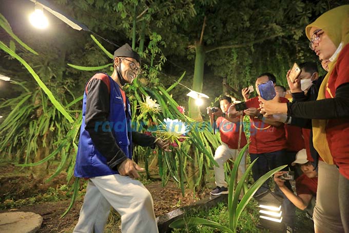 KONSISTEN: PLN membangun fasilitas green house untuk mendukung pengembangan inovasi pertanian buah naga. (PLN Untuk RadarBanyuwangi.id)