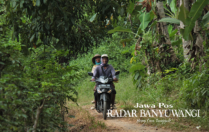 MASIH BISA SENYUM: Warga naik sepeda motor usai menggarap lahan di sekitar Gumuk Genderuwo yang masih satu gugus dengan Gunung Salakan di Dusun Pancer, Desa Sumberagung, Kecamatan Pesanggaran, Jumat (2/6). (Salis Ali/Radar Banyuwangi)