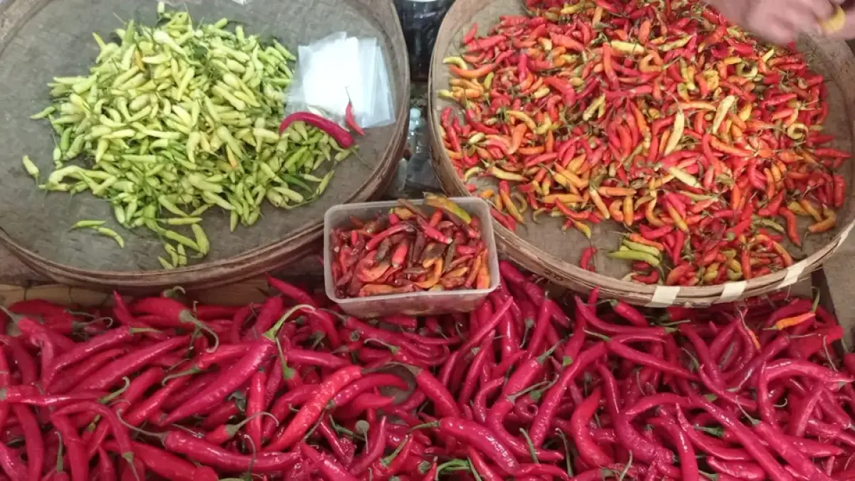 DIPILAH: Pedagang sayur di Jombang memilah cabai yang dijual. (Ainul Hafidz/Radar Jombang)