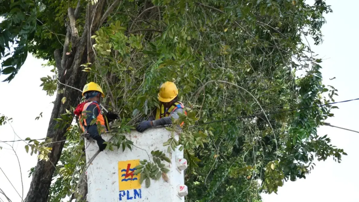 PLN UP3 Gresik berkomitmen untuk terus memperkuat keandalan sistem kelistrikan melalui berbagai program pemeliharaan, pengawasan jaringan, dan inovasi pelayanan.