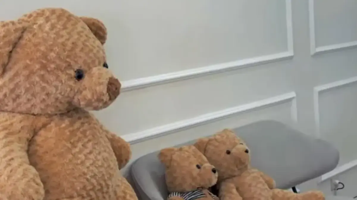 Nongkrong bareng teddy bear gemas. (Instagram @teddystea_mlg)