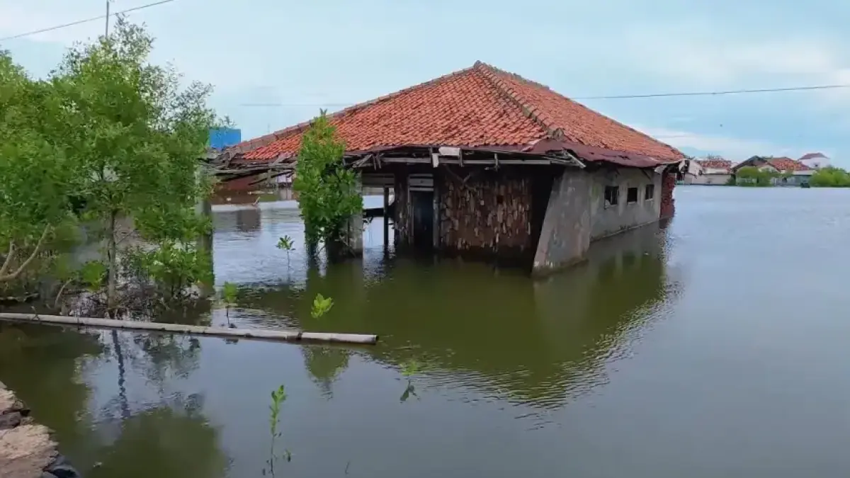 Sebuah rumah warga terendam air akibat dampak abrasi dan banjir rob di Desa Mayangan. (Tangkapan layar Youtube NatGeo-Indonesia)