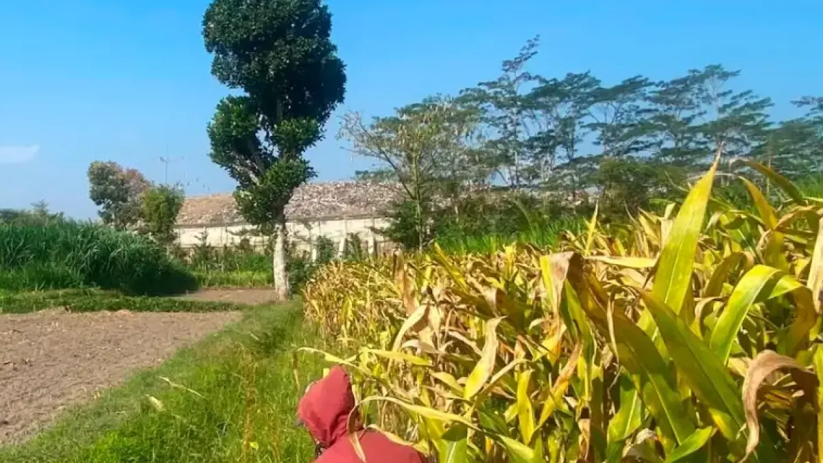 Tempat Pembuangan Akhir (TPA) Ngegong, Kota Blitar akan diperluas.