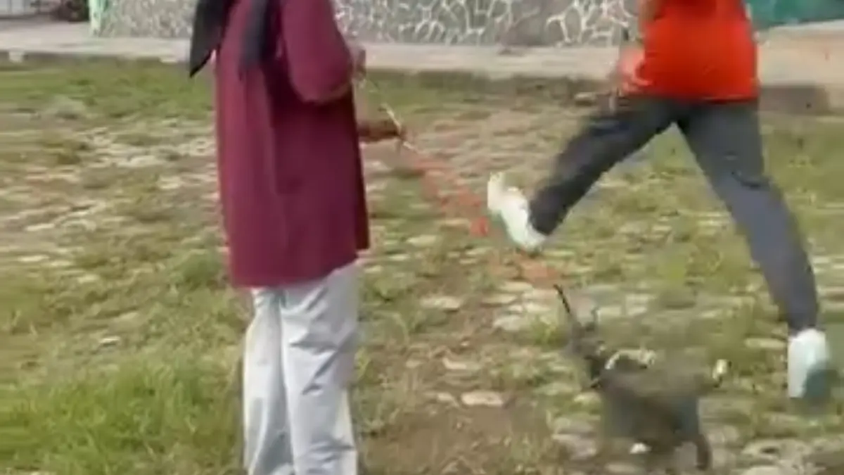 PARAH: Video tangkapan layar seorang pria menendang kucing di lapangan Kridosono Blora. 
