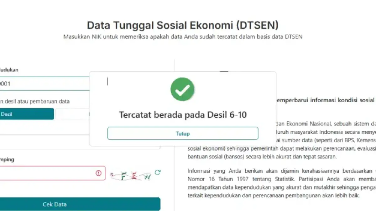 Cek Desil DTSEN di dtsen-form.bps.go.id