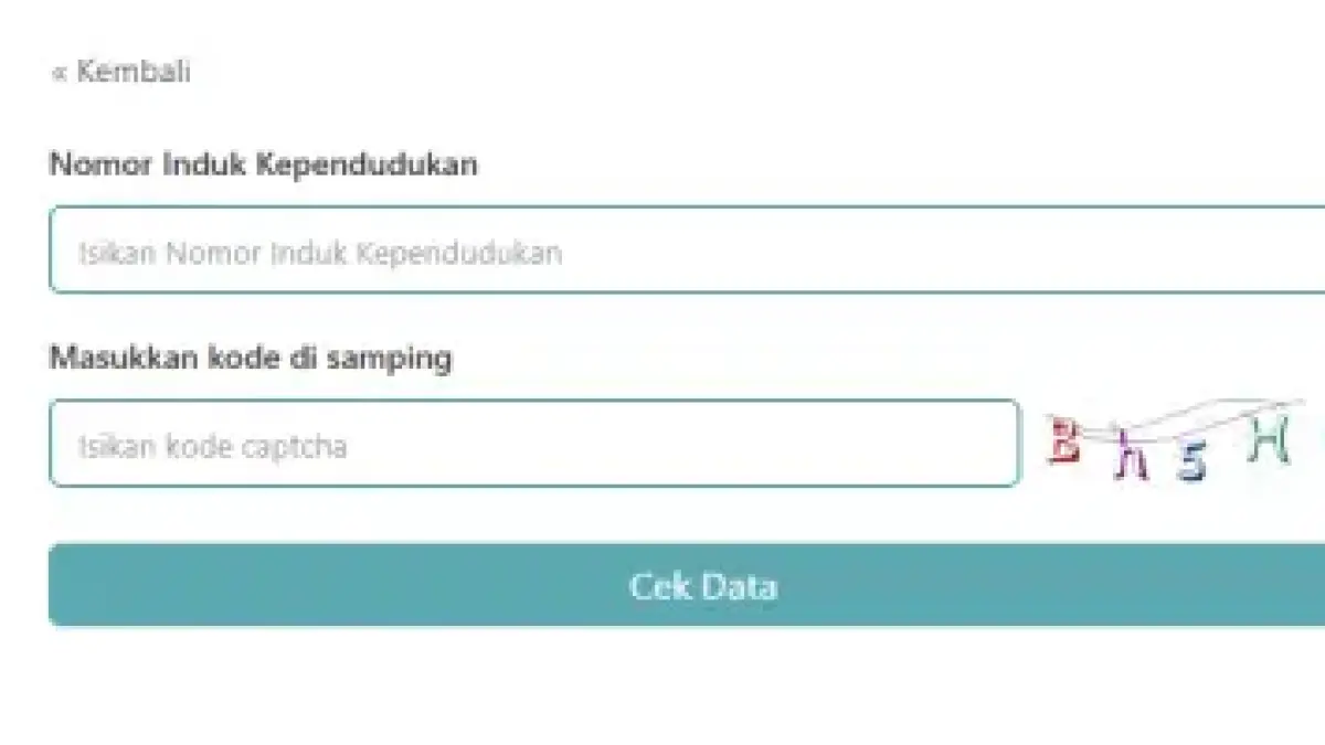 Cek Desil di situs BPS dtsen-form.bps.go.id