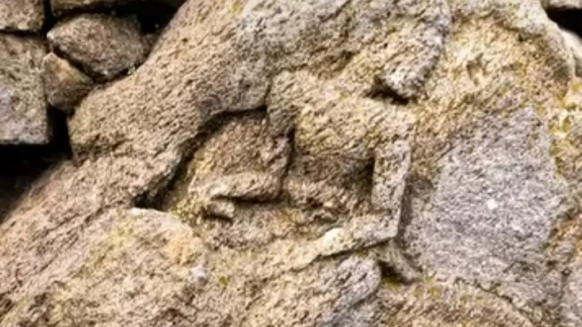 IKONONOGRAFI: Pahatan relief figur Raden Panji yang menunggangi gajah pada Candi Gajah Panji.