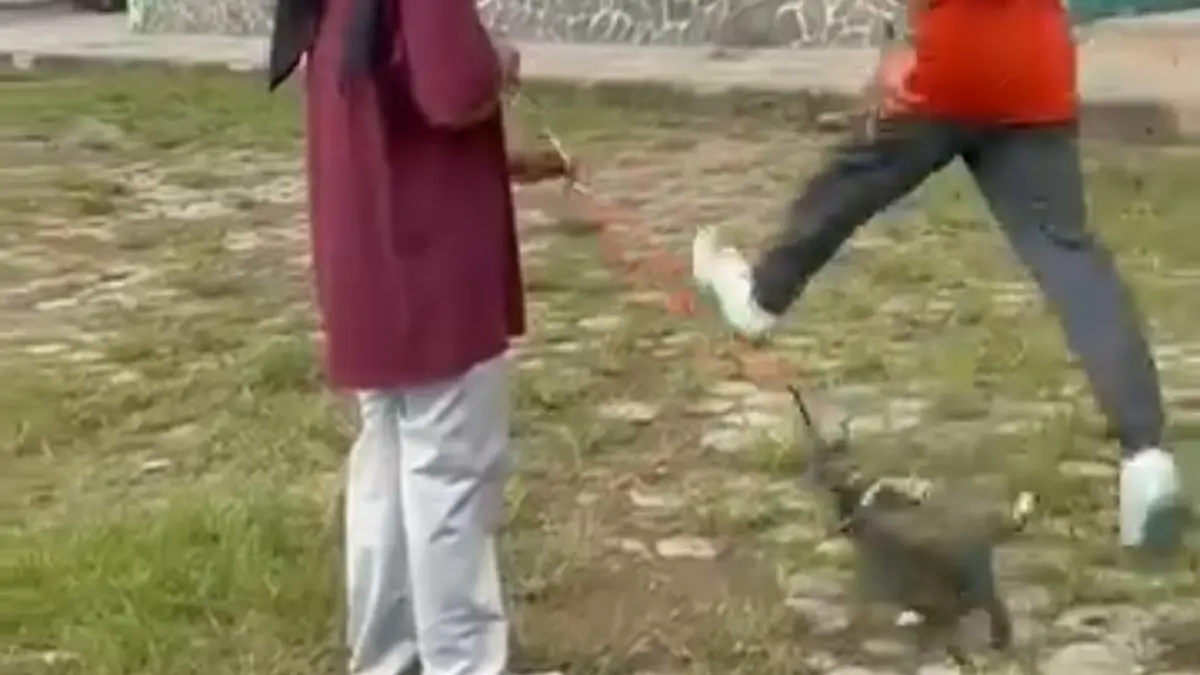 PARAH: Video tangkapan layar seorang pria menendang kucing di lapangan Kridosono Blora. 